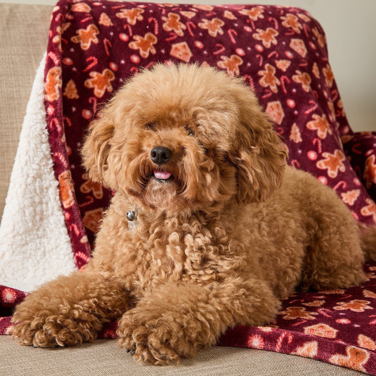 Pet Gingerbread Man Print Pet Sherpa Reverse Throw – Burgundy