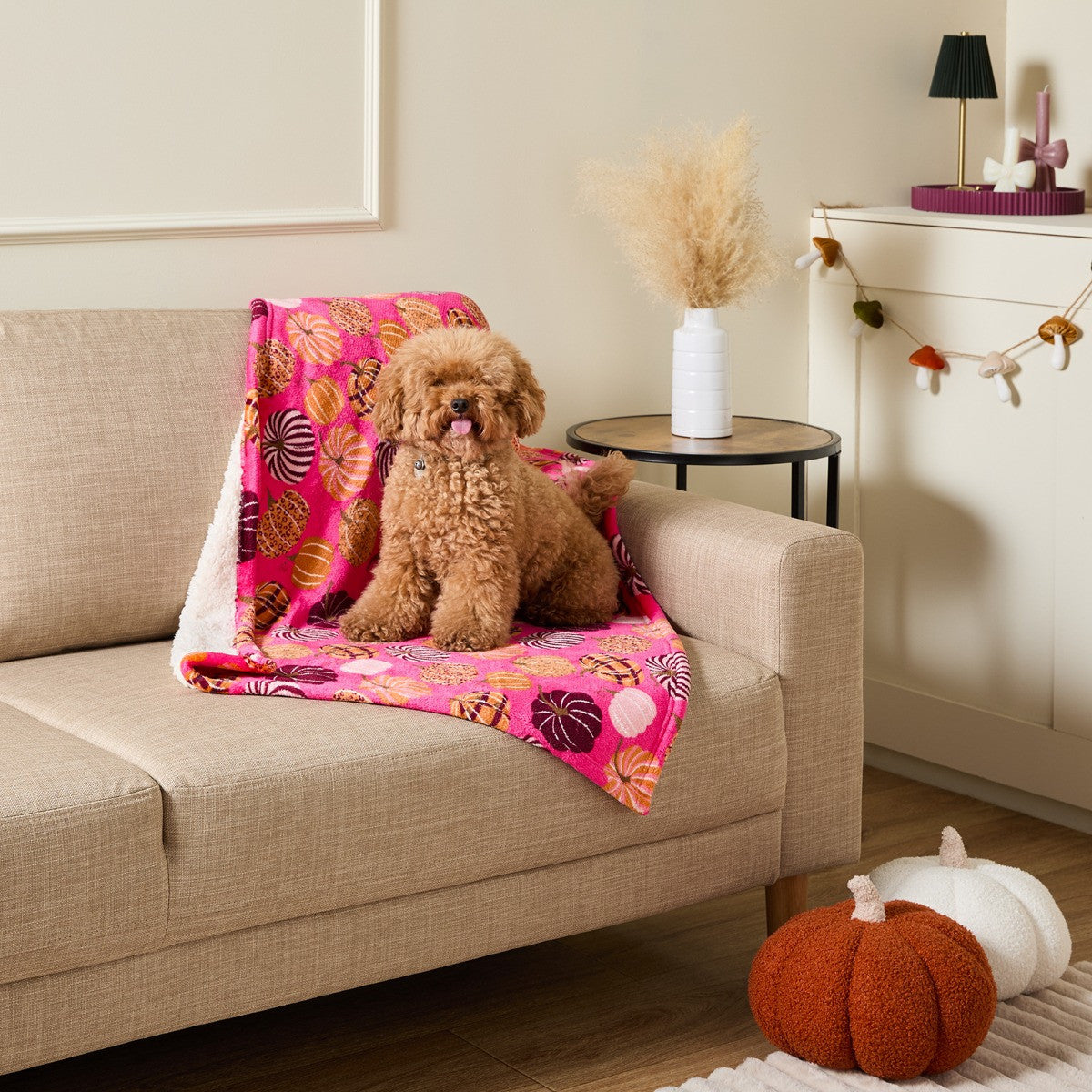 Pet Pumpkin Print Pet Sherpa Reverse Throw – Pink